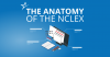 Photo for The Anatomy of the NCLEX