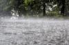 Photo for Water Damage Restoration Mount Pleasant