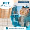 Photo for Pet Relocation