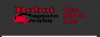 Photo for Robot Captain Crabs
