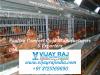 Photo for Battery Cage System for Layers @ Vijay Raj India