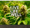 Photo for Curaleaf Dispensary Jensen Beach