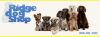 Photo for Ridge Dog Shop