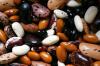 Photo for Bioactive Ingredients Market Size, Share, Growth, Trends and Forecast Report, 2024