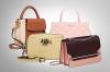 Photo for Global Luxury Bag Market Manufacturers Sales Analysis Report 2019-2024