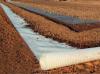 Photo for Reinforcement Geosynthetics Market 2019 Top Comapny Profiles with Forecast Till 2024