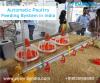 Photo for Automatic Poultry Feeding System in India