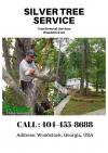 Photo for Tree Removal Price Woodstock GA
