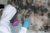Photo for RALEIGH MOLD-Crawl Space Mold Removal Service Cary NC