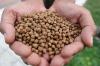 Photo for Global Aquafeed Market Size, Share, Growth, Trends and Forecast Report, 2022