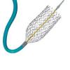 Photo for Biliary Stent Market 2019 Top Comapny Profiles with Forecast Till 2024