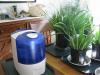 Photo for Global Indoor Humidifier Market Manufacturers Sales Analysis Report 2019-2024