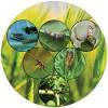 Photo for Biopesticide Market 2019 Top Comapny Profiles with Forecast Till 2024