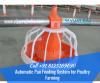 Photo for Automatic Pan Feeding System for Poultry Farming