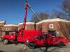 Photo for Greensboro Tree Services