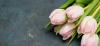Photo for Ayr Brae Flowers