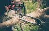 Photo for Tree Removal Services Adelaide| Owned and Operated.