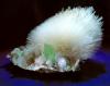 Photo for Global Zeolites Market Manufacturers Sales Analysis Report 2019-2024
