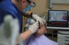 Photo for KNOW HOW TO IDENTIFY A BAD DENTIST TO AVOID HAVING A POOR DENTAL EXPERIENCE