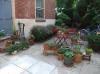 Photo for Transform Your Office with Interior Plant Services