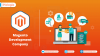 Photo for Magento Website Development Services