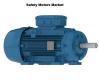 Photo for Global Safety Motors Market Size | Status | Top Players | Trends and Forecast to 2023