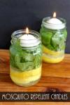 Photo for Mosquito Repellent Candle Market Size, Share, Growth, Trends and Industry Statistics Report, 2019 to 2025