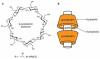 Photo for Global Cyclodextrin Market Manufacturers Sales Analysis Report 2019-2024
