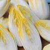 Photo for Chicory Market Top Comapny Profiles Till 2022