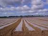 Photo for Agricultural Films and Bonding Market Size, Share, Growth, Trends and Forecast Report, 2016 to 2024