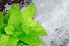 Photo for Global Menthol Market Manufacturers Sales Analysis Report 2019-2024