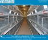Photo for High-quality Battery Cages at Best Price – Poultry Cage Manufacturers