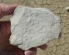 Photo for Global Diatomite Market Manufacturers Sales Analysis Report 2019-2024