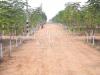 Photo for HMDA Approved Plots for sale near to ORR at close proximity to IT corridors in Hyderabad