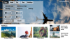 Photo for Travel Web Designing Company