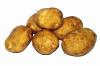Photo for Global Potato Protein Market Size, Share, Growth, Trends and Industry Analysis Report, 2019 to 2025