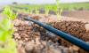 Photo for Micro Irrigation Systems Market Plying for Significant Growth During 2015 To 2022