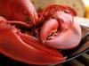 Photo for Chitin Market Top Comapny Profiles Till 2022
