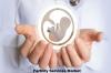 Photo for Fertility Services Market Growth Analysis, Share, Demand by Regions, Types and Forecast to 2023