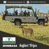 Photo for Mombasa Safari Trip