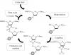 Photo for Oligonucleotide Synthesis Market Future Growth , Size And Revenue Growth  For Projected Years From 2018 To 2025