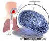 Photo for Global Influenza Diagnostics Market | Latest Industry Demands and Top Players Analysis Report Till 2026