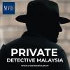 Photo for Private Detective Malaysia