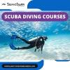 Photo for Scuba Diving Courses