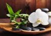 Photo for Lotus Nails Spa