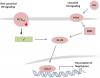 Photo for Exosomes Synthesis