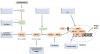 Photo for Bioparticle Component Analysis