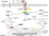 Photo for Bioparticles Encapsulation Efficiency Analysis