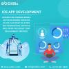 Photo for IOS App Development Agency In Indianapolis