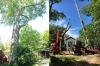 Photo for Silver Tree Service-Affordable Tree Removal Company Alpharetta GA